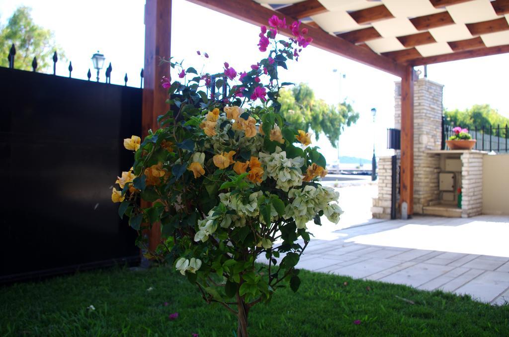 Amaryllis Holiday Home Agios Spyridon  ภายนอก รูปภาพ